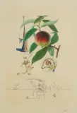 PECHER PÉNITENT (BRZOSKWINIA SKRUSZONA) by Salvador Dalí, 1969/70, litografia barwna, sucha igła, papier, sold Oct 2016