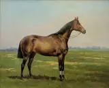 Tadeusz Ajdukiewicz, GNIADY KOŃ, 1886, olej, deska