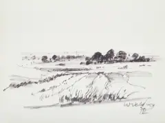 Wiktor Zin, PEJZAŻ, 1972, flamaster, papier