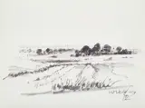 Wiktor Zin, PEJZAŻ, 1972, flamaster, papier