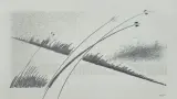 Leszek Tadeusz Serafin, LTS 31, 2015, ołówek, karton