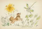 Ilustracja do bajki by Jan Marcin Szancer, tusz, akwarela, papier, sold Jul 2016