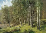 Konstanty Mackiewicz, LAS