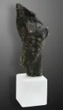 Waldemar Mazurek, TORS