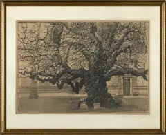 Leon Wyczółkowski, Stara lipa w Piotrawinie, 1918/1919, autolitografia, papier