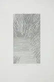 Apoloniusz Węgłowski, Bez tytułu, 1998, ołówek, papier
