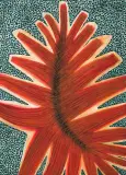 Jolanta Johnsson, Formy biologiczne 5