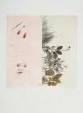 Leszek Rózga, Dla Pauliny, 1979, akwaforta barwna, papier