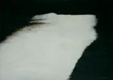 Tomasz Tatarczyk, BEZ TYTUŁU, 1998, akryl, karton
