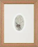 Elżbieta Bocianowska, Wzlot, akwaforta barwna, papier
