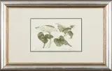 ROŚLINY by Maria Okołów-Podhorska, 1985, akwaforta, papier kremowy, sold Oct 2015