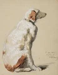 Teofil Kwiatkowski, SIEDZĄCY PIES, 1845, akwarela, ołówek, gwasz, papier żeberkowany