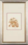 Nasturcje by Maria Okołów-Podhorska, 1985, akwaforta jednobarwna, papier, sold Sep 2015