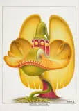 Orchidea carnivora by Jacek Yerka, 2015, kredki, ołówek, karton, sold Sep 2015