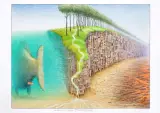 Trzeci dzień stworzenia by Jacek Yerka, 2015, kredki, ołówek, karton, sold Aug 2015