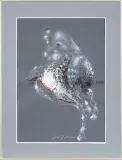 Akty 2014 by Andrzej Domżalski, akryl, pastel, papier, sold Mar 2015