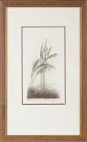 Trawy na wietrze by Maria Okołów-Podhorska, akwaforta, papier, sold Feb 2015