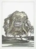 Janusz Stanny, Żaba, 1985, serigrafia ręcznie kolorowana akwarelą, papier