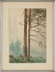 Maciej Nehring, Sosny, 1952, akwarela, papier
