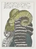 Janusz Stanny, Baran, 1985, litografia kolorowana akwarelą, papier