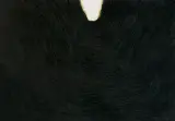 Tomasz Tatarczyk, BEZ TYTUŁU (WĄWÓZ - DZIEŃ), 2002 technika mieszan