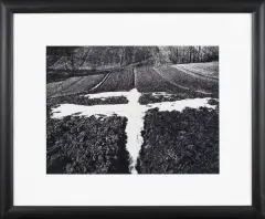 Paweł Pierściński, Ptak – przedwiośnie, 1974, fotografia czarno-biała, papier