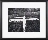 Paweł Pierściński, Ptak – przedwiośnie, 1974, fotografia czarno-biała, papier