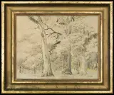 Leon Wyczółkowski, DĘBY, kredka barwna, papier