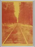 Tory by Jan Tarasin, 1990, serigrafia jednobarwna, papier, sold Jan 2014