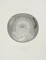 Andrzej Smoczyński, Koło dla Krystyny w listopadzie, 1987, wypukłodruk, papier