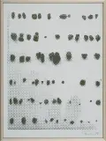 Bez tytułu by Jan Tarasin, 1990, serigrafia, papier, sold Oct 2013