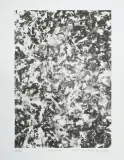Roman Opałka, Walka, litografia, papier