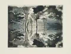 Anna Mikke, Pejzaż, 2012, fotograwiura, papier