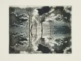 Anna Mikke, Pejzaż, 2012, fotograwiura, papier