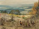Willy Lorenz, BAŻANTY W POLU, olej, płótno
