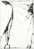 Tadeusz Brzozowski, CYKLOETER