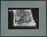 Jan Spałwan, Poletko, fotografia
