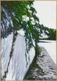 Jacek Barszcz, Mur z kwiatami w Petit Jean