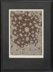 Genesis VII by Jerzy Znamierowski, metaloryt trawiony, papier, offered Apr 2012