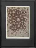 Jerzy Znamierowski, Genesis VII, metaloryt trawiony, papier
