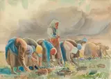 Władysław Skoczylas, W POLU. KOPANIE BURAKÓW