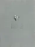 Léonor Fini, Portret kobiety, litografia barwna, papier