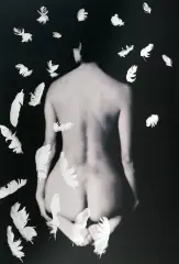Anna Mikke, Akt z piórkami, fotografia na aluminium