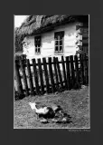 Stefan Arczyński, Wiejska zagroda, 1941, fotografia czarno-biała