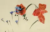 Stanisław Wyspiański, KWIATY POLNE. MAKI I CHABRY