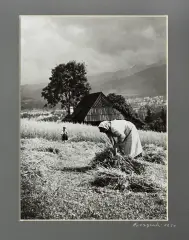 Tatry, Gubałówka by Stefan Arczyński, 1951, fotografia czarno-biała, sold Sep 2011