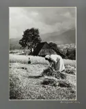 Stefan Arczyński, Tatry, Gubałówka, 1951, fotografia czarno-biała