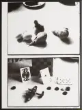 Przedmioty by Jan Tarasin, 1990, serigrafia, papier, sold Aug 2011