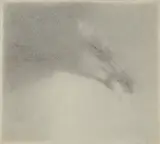 Halina Chrostowska, Głowa konia, lata 70.XX w., ołówek, papier kremowy