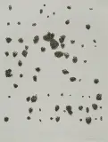 Dalmatyńczyk by Jan Tarasin, 1990, serigrafia, papier, sold Jul 2011